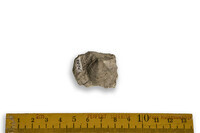 F 07262
<br/>
<br/>
<em></em>